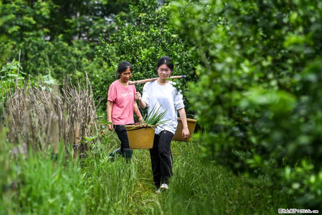 全网追的“扁担女孩”，找了一份暑假工，时薪12元 - 枣庄生活资讯 - 枣庄28生活网 zaozhuang.28life.com