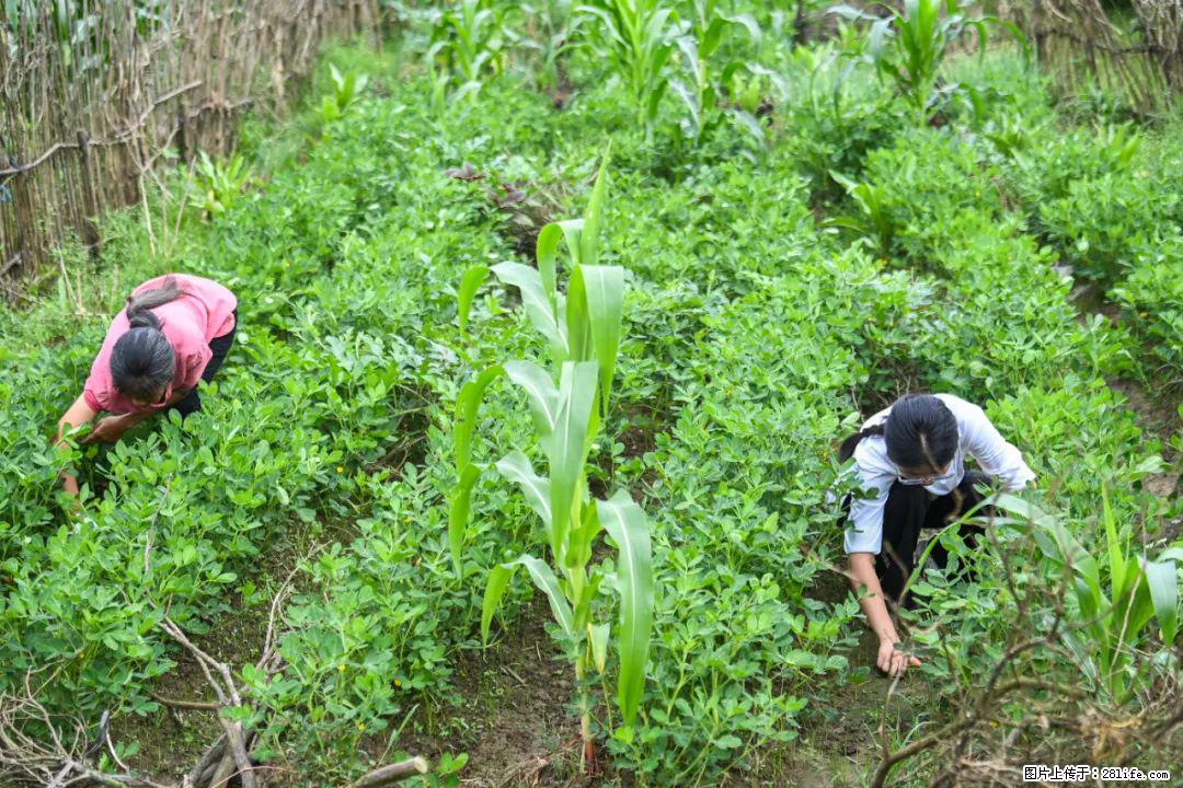 全网追的“扁担女孩”，找了一份暑假工，时薪12元 - 枣庄生活资讯 - 枣庄28生活网 zaozhuang.28life.com