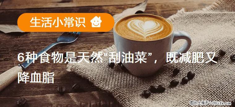 【生活小常识】6种食物是天然“刮油菜”，既减肥又降血脂 - 枣庄生活资讯 - 枣庄28生活网 zaozhuang.28life.com