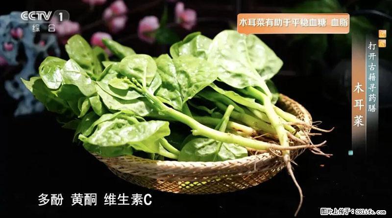 比牛奶补钙还厉害!凉血解毒、稳血糖...这菜冬天必吃,很多人却当草 - 枣庄生活资讯 - 枣庄28生活网 zaozhuang.28life.com