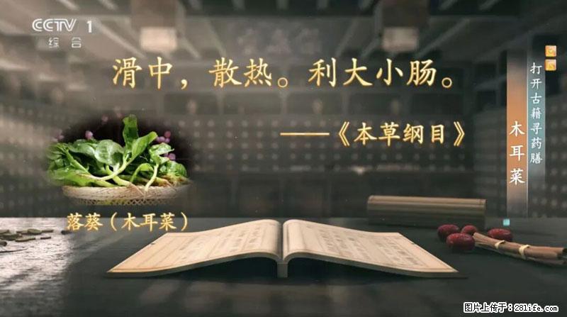 比牛奶补钙还厉害!凉血解毒、稳血糖...这菜冬天必吃,很多人却当草 - 枣庄生活资讯 - 枣庄28生活网 zaozhuang.28life.com