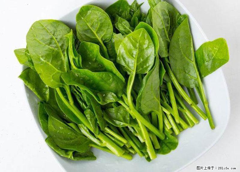 这些蔬菜是“天然钙片”，这6种被医生重点推荐 - 枣庄生活资讯 - 枣庄28生活网 zaozhuang.28life.com
