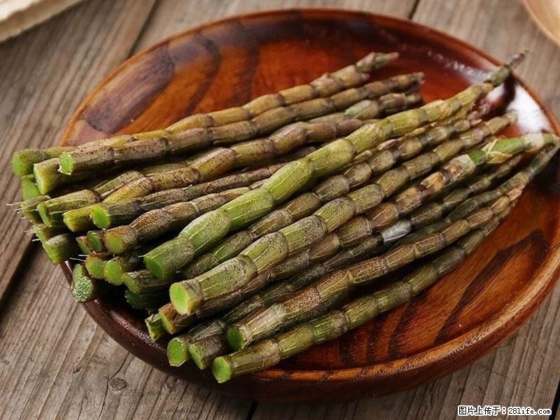 铁皮石斛的作用与功能主治 - 枣庄生活资讯 - 枣庄28生活网 zaozhuang.28life.com