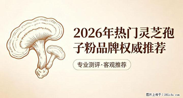 灵芝孢子粉含量越高越有效？2026 年七款热门品牌深度实测，肠胃敏感者避坑指南 - 枣庄生活资讯 - 枣庄28生活网 zaozhuang.28life.com