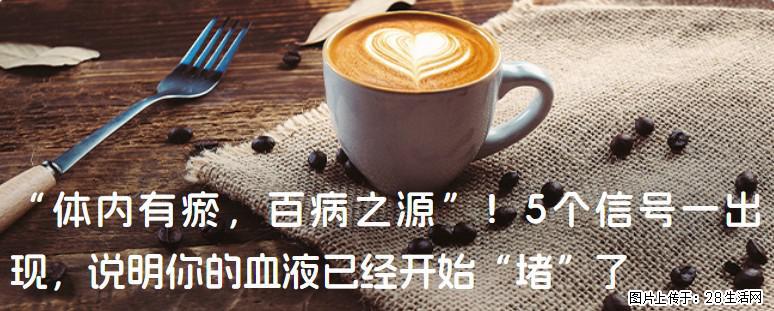 “体内有瘀,百病之源”!5个信号一出现,说明你的血液已经开始“堵”了 - 枣庄生活资讯 - 枣庄28生活网 zaozhuang.28life.com